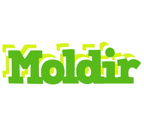 Moldir picnic logo