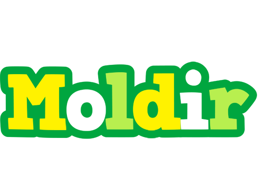 Moldir soccer logo