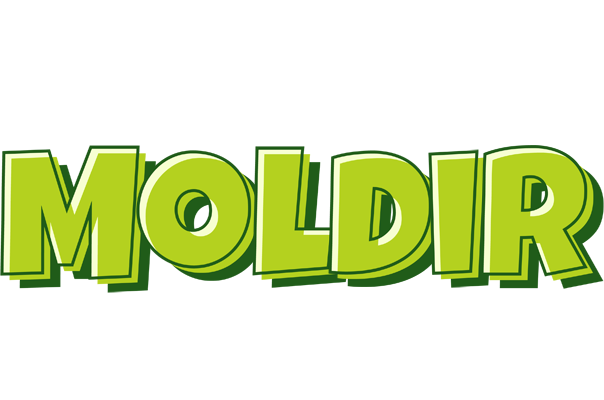 Moldir summer logo