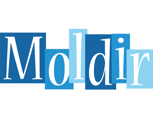 Moldir winter logo