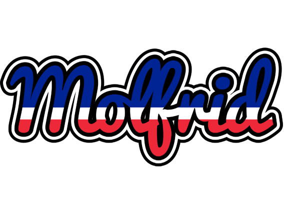 Molfrid france logo
