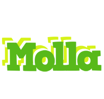 Molla picnic logo