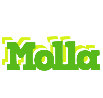 Molla picnic logo