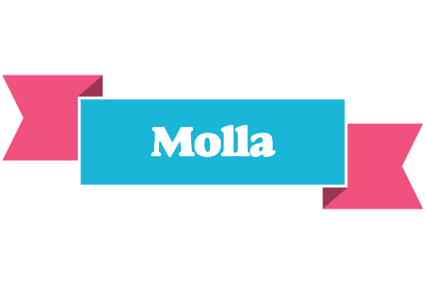Molla today logo