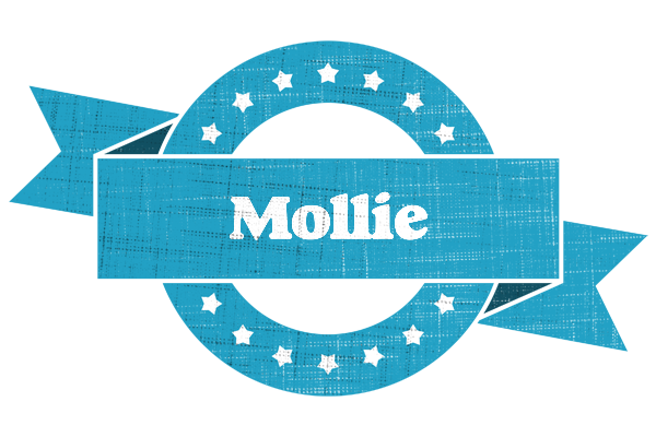 Mollie balance logo