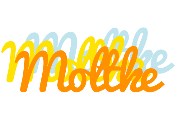Moltke energy logo