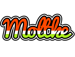 Moltke exotic logo