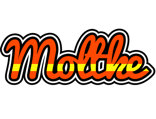 Moltke madrid logo