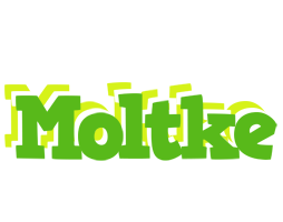 Moltke picnic logo