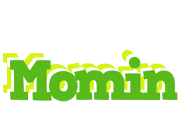 Momin picnic logo