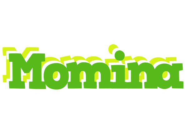 Momina picnic logo