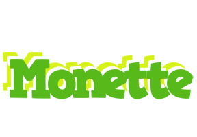 Monette picnic logo