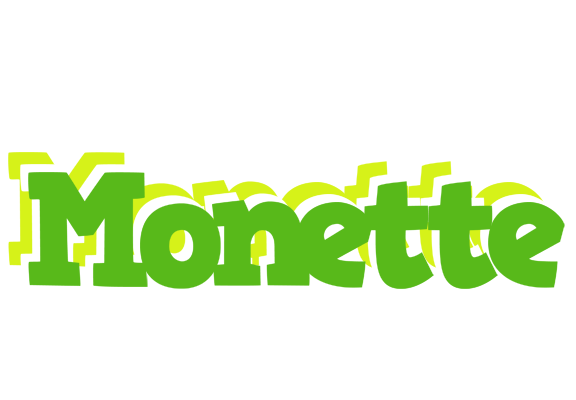 Monette picnic logo