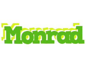 Monrad picnic logo