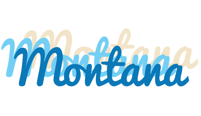 Montana breeze logo