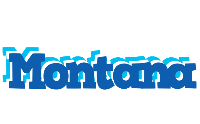 Montana business logo