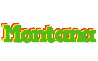 Montana crocodile logo