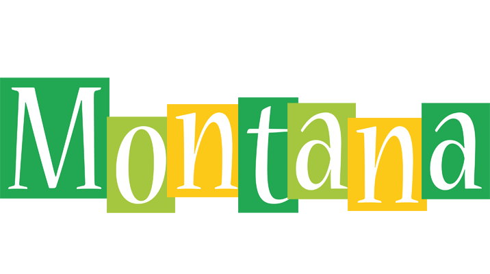 Montana lemonade logo