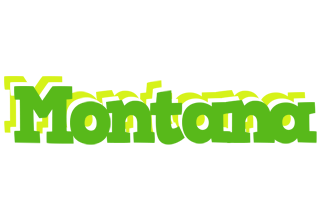 Montana picnic logo