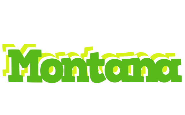 Montana picnic logo