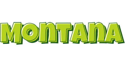 Montana summer logo