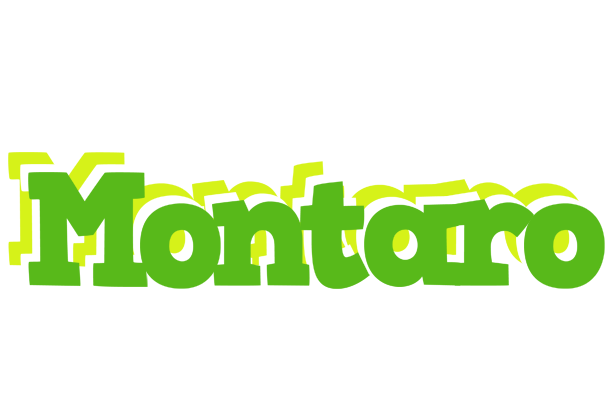 Montaro picnic logo