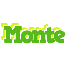 Monte picnic logo