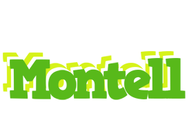 Montell picnic logo