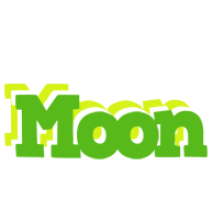 Moon picnic logo