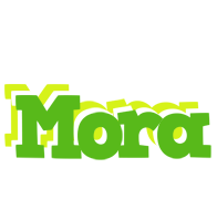 Mora picnic logo