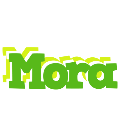 Mora picnic logo