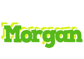 Morgan picnic logo