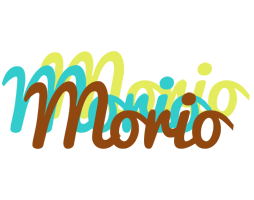 Morio cupcake logo