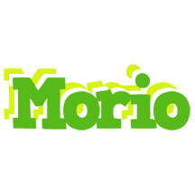 Morio picnic logo