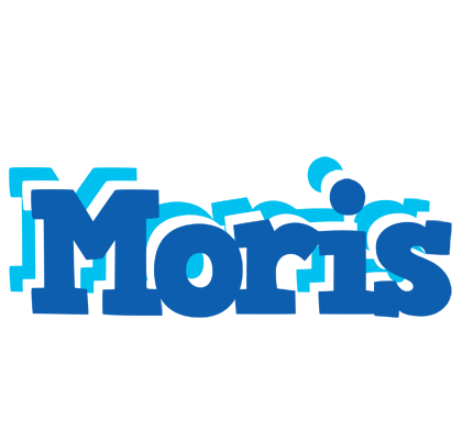 Moris business logo