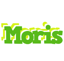 Moris picnic logo