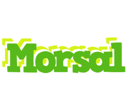 Morsal picnic logo