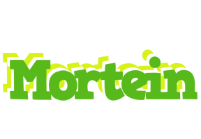 Mortein picnic logo