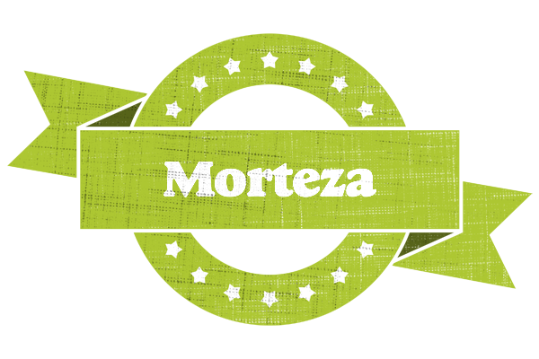 Morteza change logo