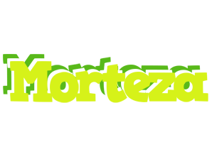 Morteza citrus logo