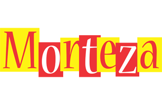 Morteza errors logo