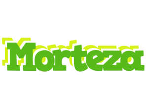 Morteza picnic logo