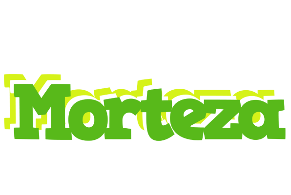 Morteza picnic logo