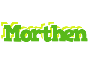 Morthen picnic logo