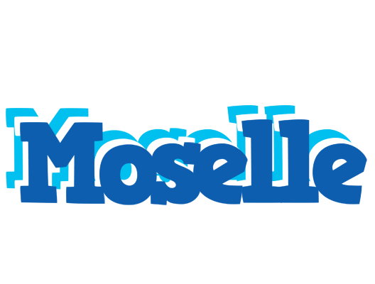 Moselle business logo