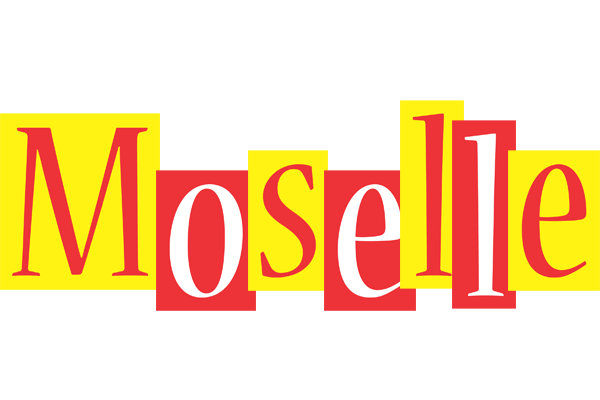 Moselle errors logo