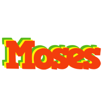 Moses bbq logo