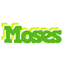 Moses picnic logo