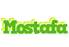 Mostafa picnic logo