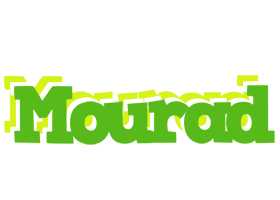 Mourad picnic logo